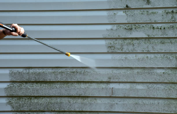 Best Driveway Cleaning and Restoration in Sharon, WI