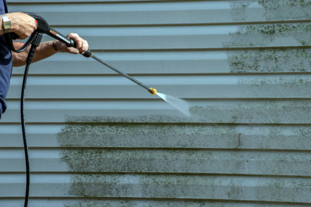Best Gutter Cleaning and Brightening in Sharon, WI